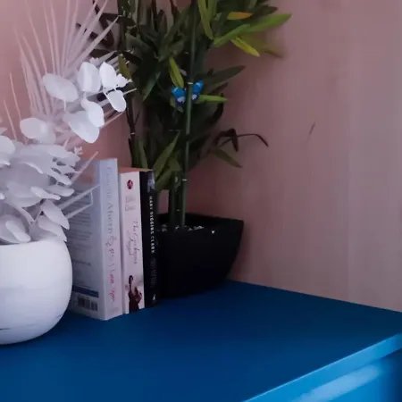 24 The Zen Den Cumbria Casa vacanze